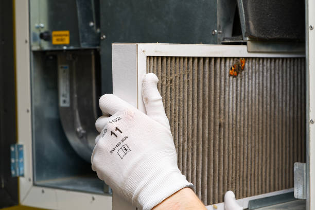 Best Home Air Vent Cleaning  in Granite City, IL